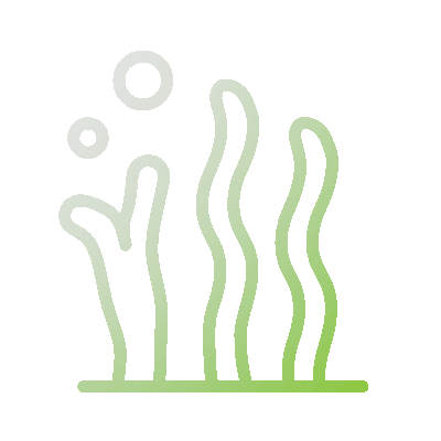 Algae Extract